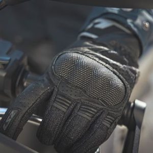 LS2 Raptor