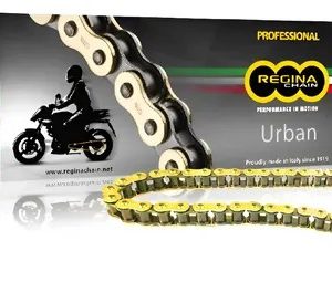 Regina 428 Oro