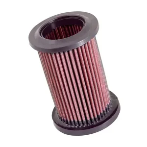 Filtro de aire K&N DU-1006